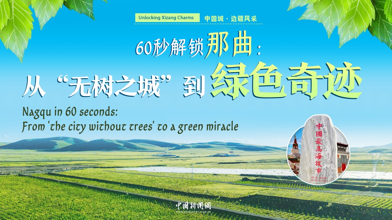 Unlocking Xizang Charms | Nagqu in 60 seconds: From 'the city without trees' to a green miracle