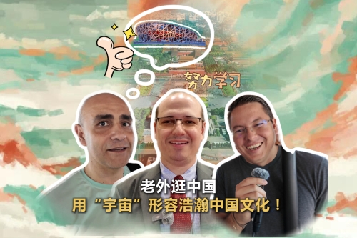 'It's like a cosmos!' Foreign experts marvel at Chinese culture during trip